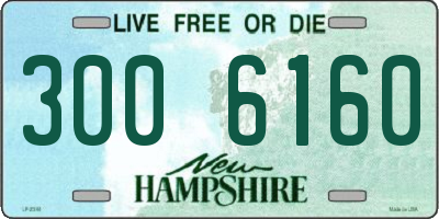 NH license plate 3006160
