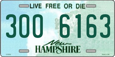 NH license plate 3006163