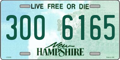 NH license plate 3006165