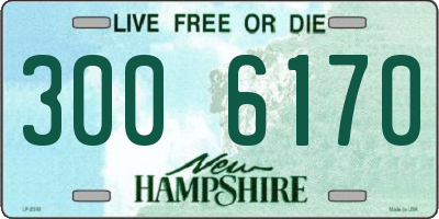 NH license plate 3006170
