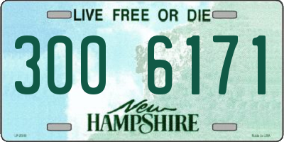 NH license plate 3006171