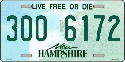 NH license plate 3006172
