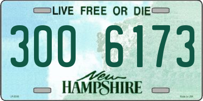 NH license plate 3006173