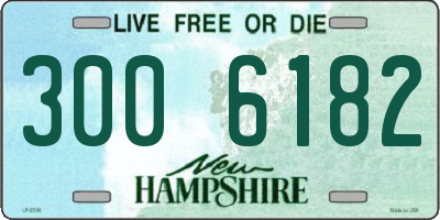 NH license plate 3006182