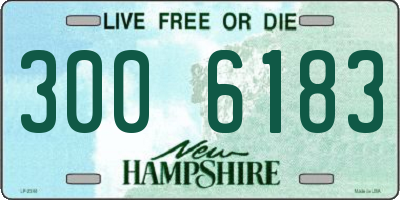 NH license plate 3006183