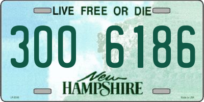 NH license plate 3006186