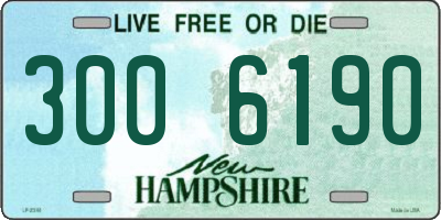 NH license plate 3006190