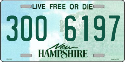 NH license plate 3006197