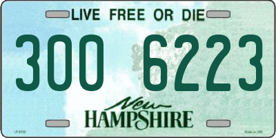 NH license plate 3006223