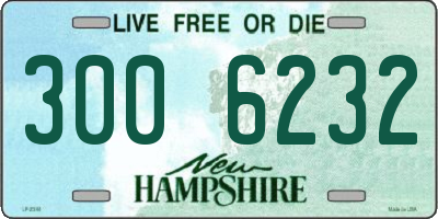 NH license plate 3006232