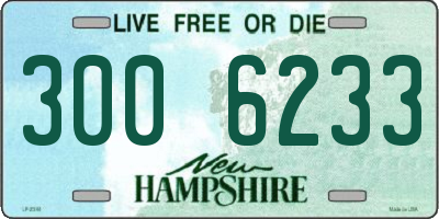 NH license plate 3006233
