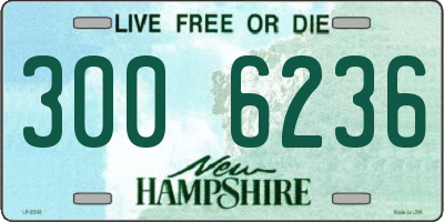 NH license plate 3006236