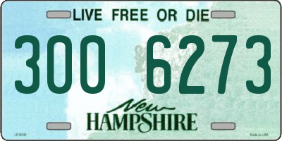 NH license plate 3006273