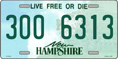 NH license plate 3006313