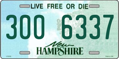 NH license plate 3006337