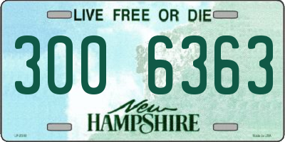 NH license plate 3006363