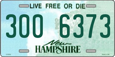 NH license plate 3006373