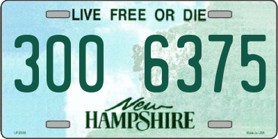 NH license plate 3006375
