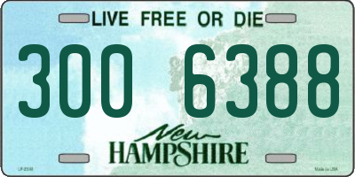NH license plate 3006388