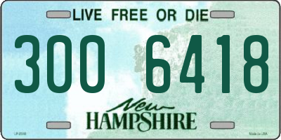NH license plate 3006418