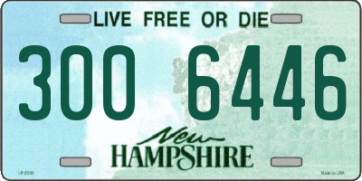 NH license plate 3006446