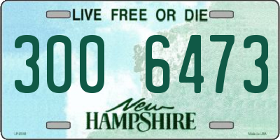 NH license plate 3006473