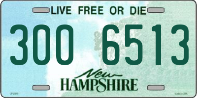 NH license plate 3006513