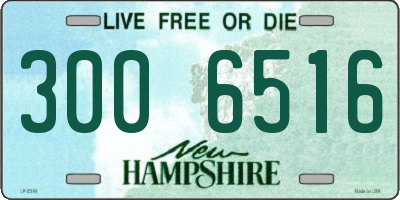 NH license plate 3006516