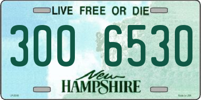 NH license plate 3006530