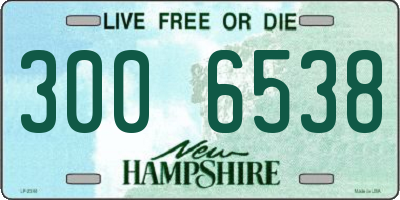 NH license plate 3006538