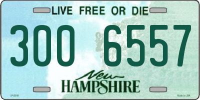 NH license plate 3006557