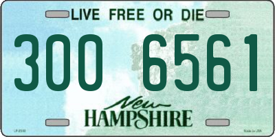 NH license plate 3006561