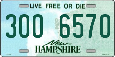 NH license plate 3006570