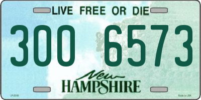 NH license plate 3006573