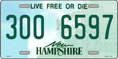 NH license plate 3006597