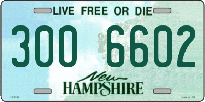 NH license plate 3006602