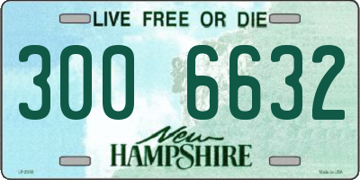 NH license plate 3006632