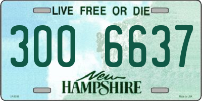 NH license plate 3006637