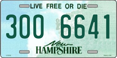NH license plate 3006641