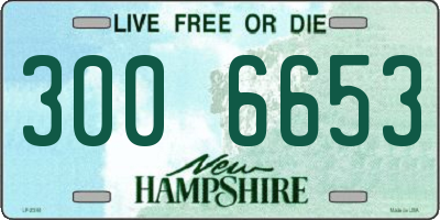 NH license plate 3006653