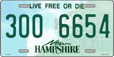 NH license plate 3006654