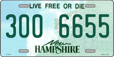 NH license plate 3006655