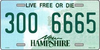 NH license plate 3006665