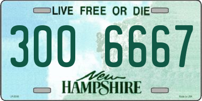 NH license plate 3006667