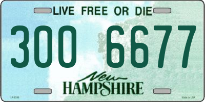 NH license plate 3006677