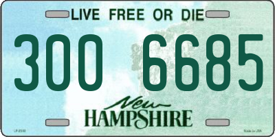 NH license plate 3006685