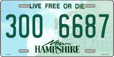 NH license plate 3006687