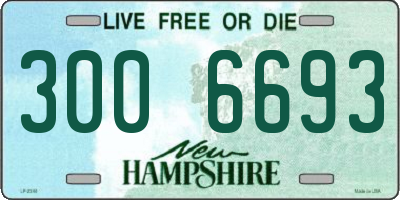 NH license plate 3006693