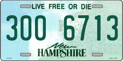 NH license plate 3006713