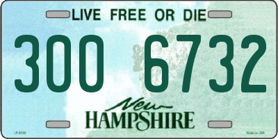 NH license plate 3006732